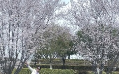 你们老公晚上怎么玩你